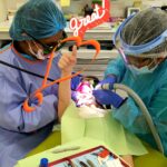 Laser Specialist Dentist at work